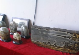 长江三角盆景展（1）