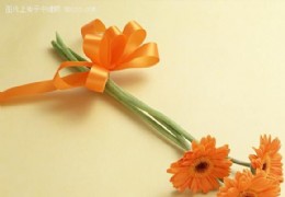 花艺欣赏（三）