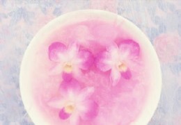 花艺欣赏（八）