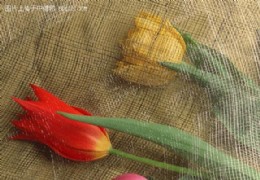 花艺欣赏（十二）