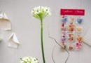 居家生活中DIY插花