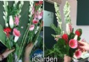 花束：拜佛祭祀的拜拜花束