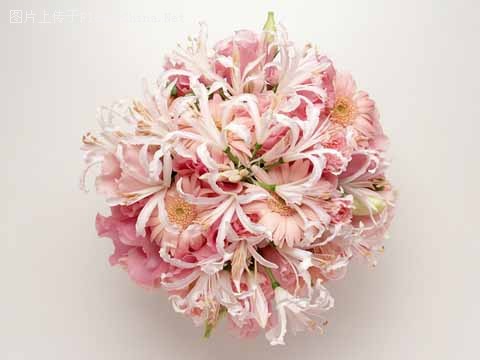 美丽花艺欣赏雍容爱情花球