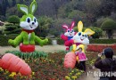 第17届广州园林博览会市白云山云台花园开幕