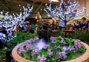 2011年加拿大花卉与园艺展在国家展览中心举行