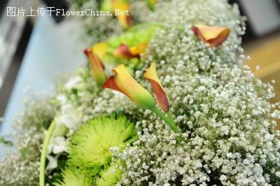 大连举办花画花艺展  体现鲜花与绘画相辉映