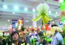 第十三届中国国际花卉园艺展览会  异彩纷呈