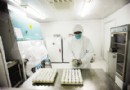 专家声称：甲型H1N1流感疫苗国庆节前可生产