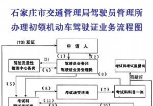 石家庄市交通管理局驾驶员管理所办理初领机动车驾驶证业务流程图