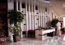 以租代养 另类种花美化办公环境 开拓新市场