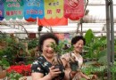 花儿依然这样红——乌鲁木齐花卉市场这样红